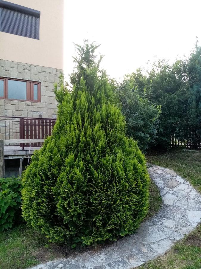 Guesthouse Smiljanic Slavkovica Buitenkant foto
