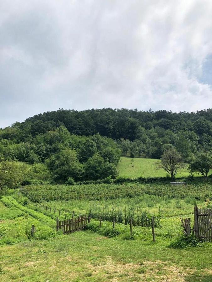 Guesthouse Smiljanic Slavkovica Buitenkant foto