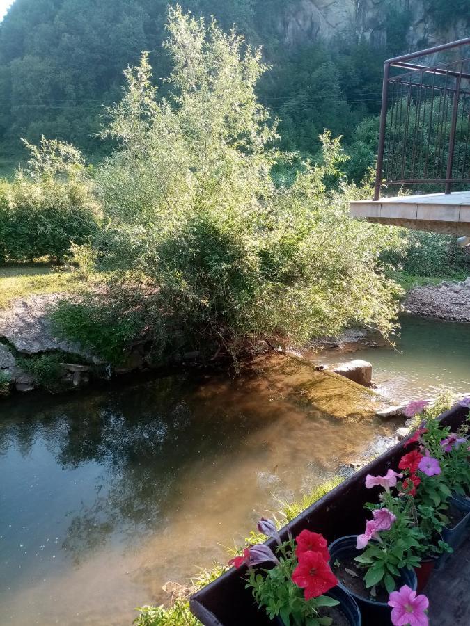 Guesthouse Smiljanic Slavkovica Buitenkant foto