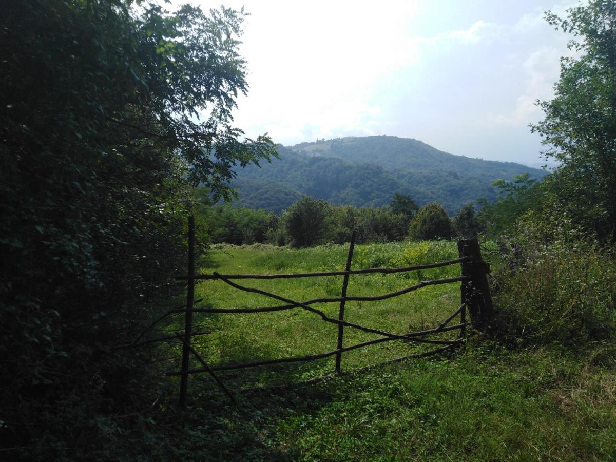 Guesthouse Smiljanic Slavkovica Buitenkant foto
