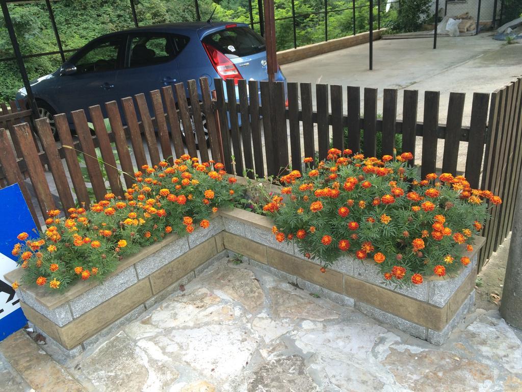 Guesthouse Smiljanic Slavkovica Buitenkant foto