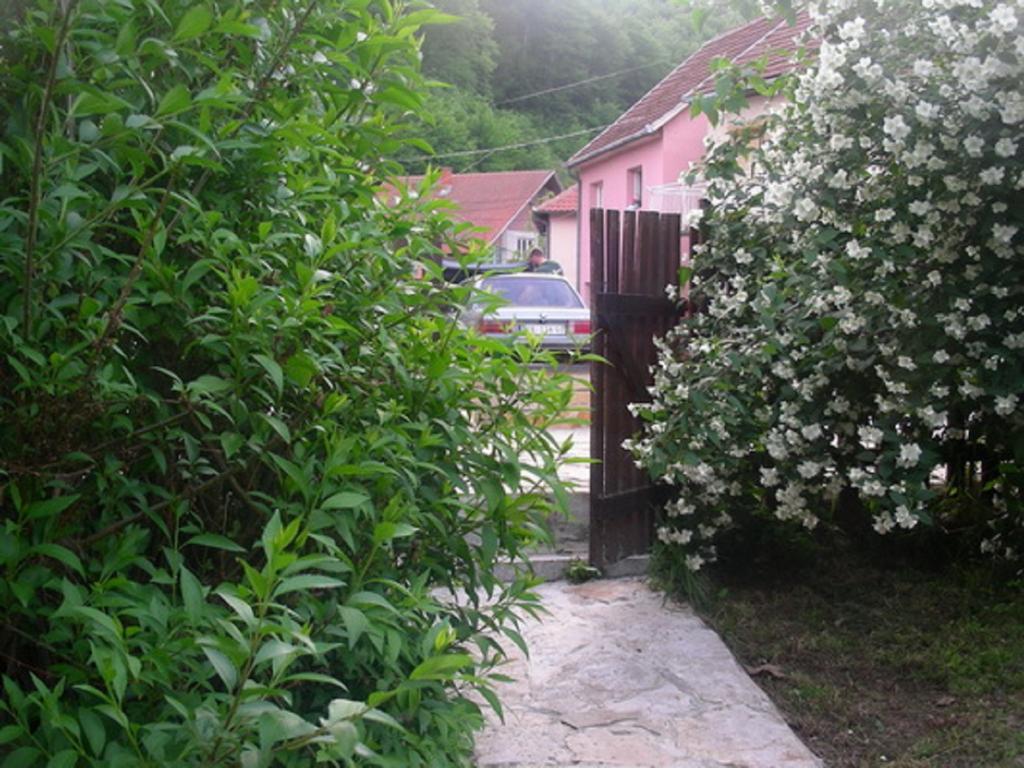 Guesthouse Smiljanic Slavkovica Buitenkant foto