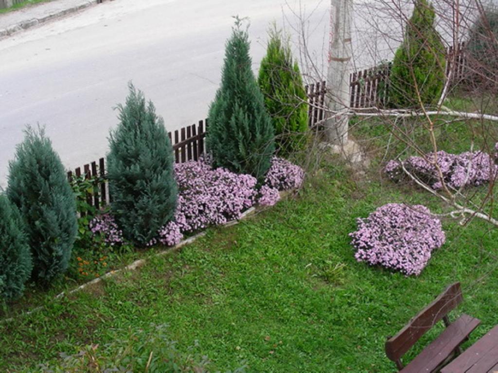 Guesthouse Smiljanic Slavkovica Buitenkant foto