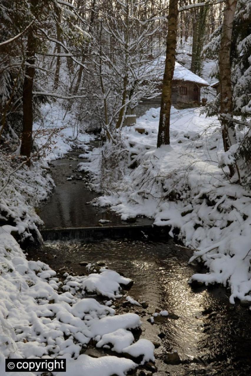 Guesthouse Smiljanic Slavkovica Buitenkant foto